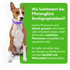 FurLife - Natural Pheromone Calming Collar for Dogs